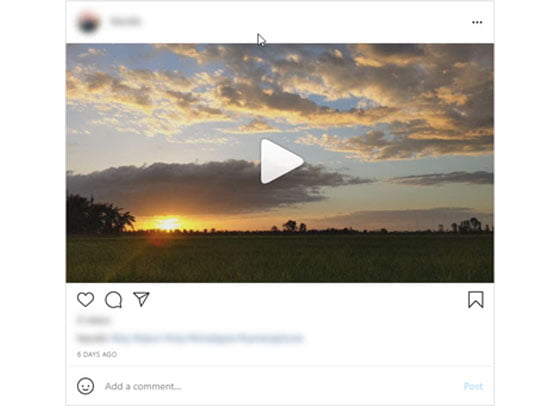 Download video instagram without watermark